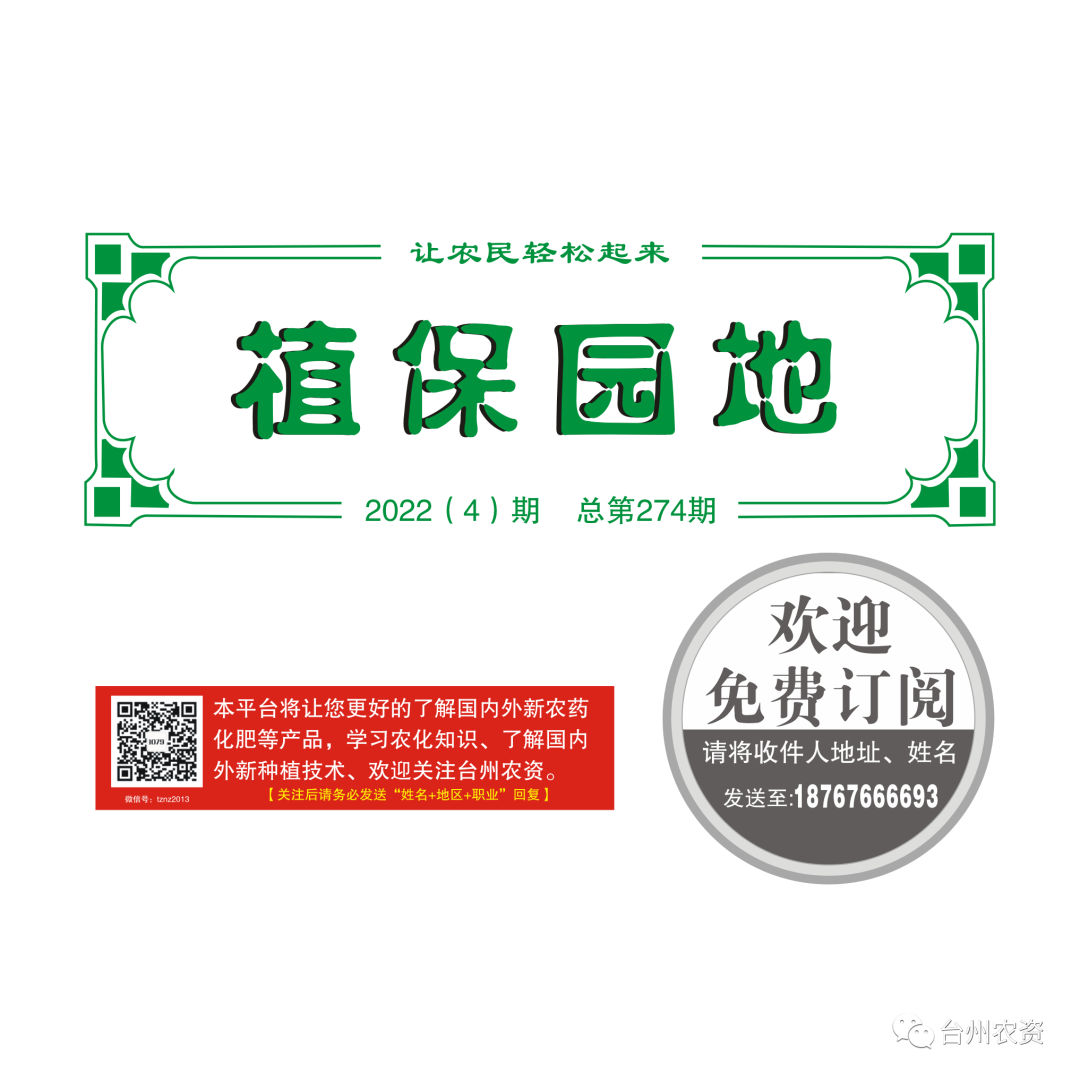 柑橘補鈣要趁早，裂果浮皮會減少！